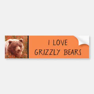 Autocollant De Voiture Grizzly Bear Cub dans Fireweed Peinture Art de la