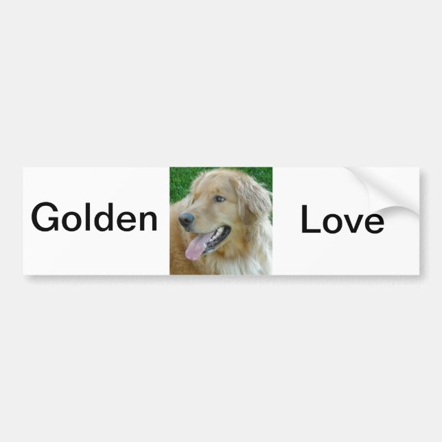 Autocollant De Voiture Gros plan de Golden Retriever (Devant)