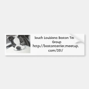 Autocollant De Voiture Groupe de Boston Terrier Meetup