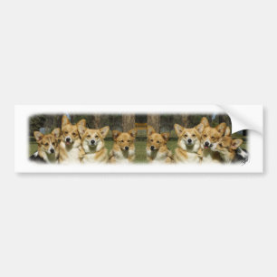 Autocollant De Voiture Groupe de corgi