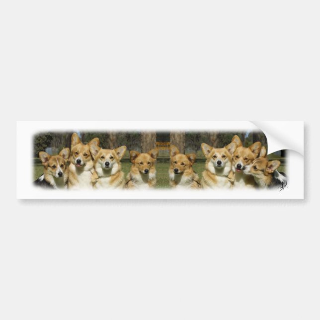 Autocollant De Voiture Groupe de corgi (Devant)