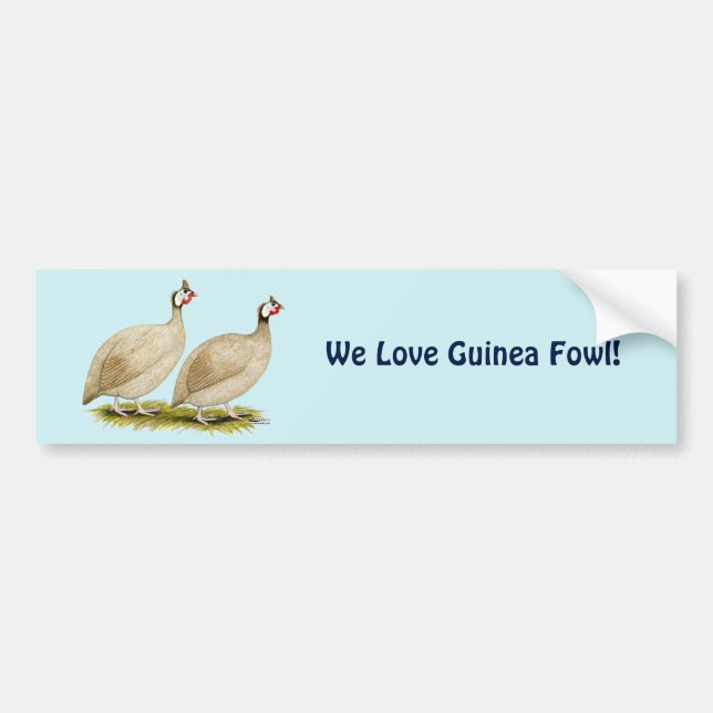 Autocollant De Voiture Guineas Buff Dundotte Fowl (Devant)