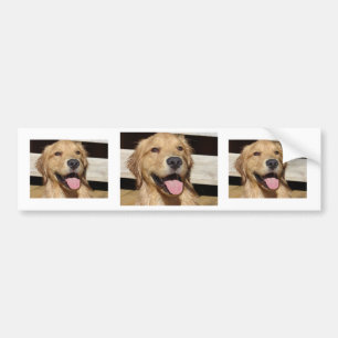 Autocollant De Voiture Happy Golden Retriever