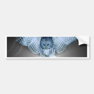 Autocollant De Voiture HIBOU dans l'OBSCURITÉ