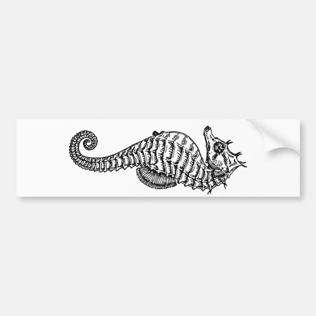 Autocollant De Voiture Hippocampe (Devant)
