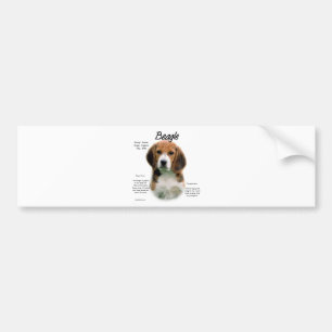 Autocollant De Voiture Histoire du beagle ; Tout sur les Beagles