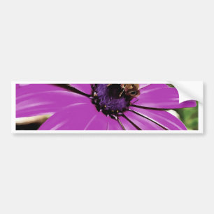 Autocollant De Voiture Honey Bee Sur Un Daisy Africain Violet