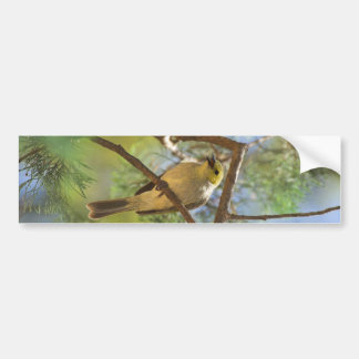 Autocollant De Voiture Honeyeater Blanc-mis d'aplomb