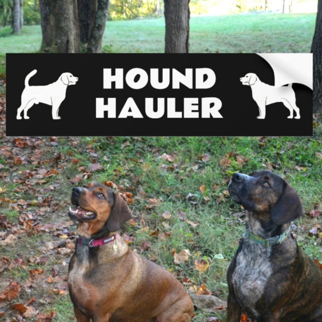 Autocollant De Voiture Hound Hauler Homme et Femme Chien Silhouettes Noir (Créateur téléchargé)