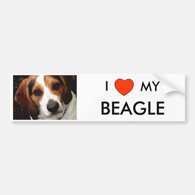 Autocollant De Voiture I coeur MON BEAGLE (Devant)
