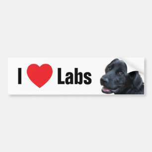 Autocollant De Voiture I Heart Labs