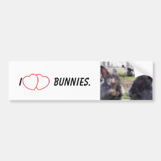 Autocollant De Voiture I lapins de coeur