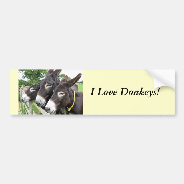 Autocollant De Voiture I Love Donkeys! (Devant)