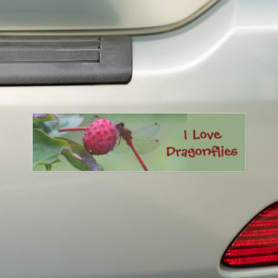 Autocollant De Voiture I Love Dragonflies Nature