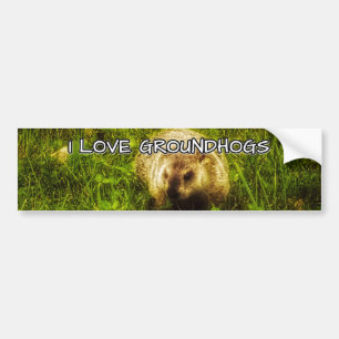 Autocollant De Voiture I love groundhogs bumper sticker