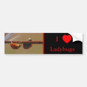 Autocollant De Voiture I Love Heart Ladybugs Nature