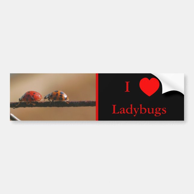 Autocollant De Voiture I Love Heart Ladybugs Nature 2 (Devant)