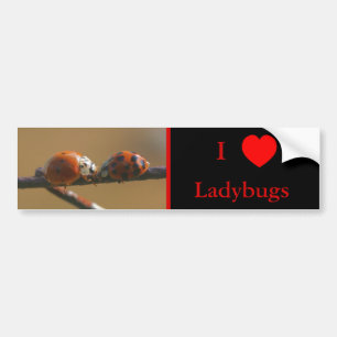 Autocollant De Voiture I Love Heart Ladybugs Nature 3