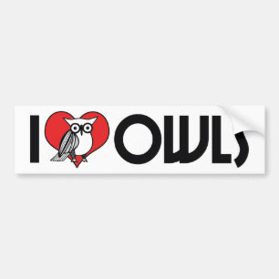 Autocollant De Voiture I Love Heart Owts - Owl Lover