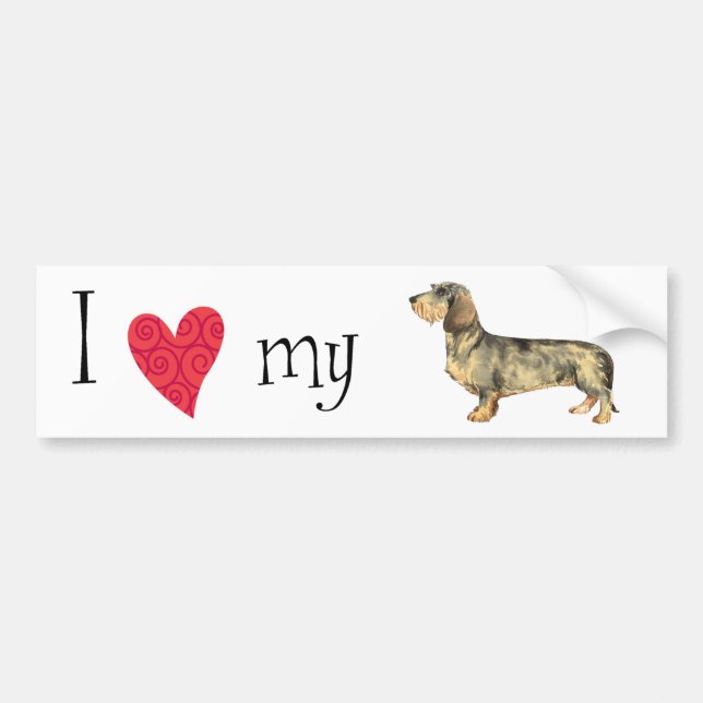 Autocollant De Voiture I Love my Wirehaired Dachshund (Devant)