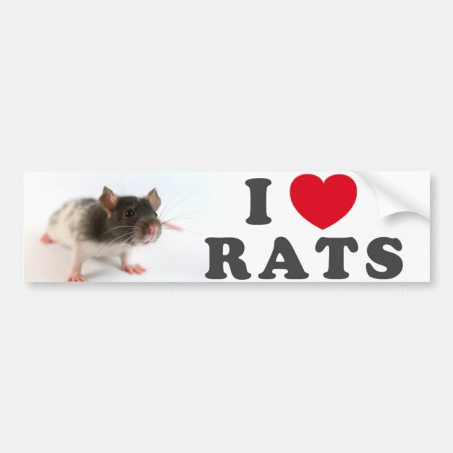 Autocollant De Voiture I love (variegated) Rats (Devant)