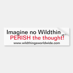 Autocollant De Voiture IMAGINE - Bumper Sticker