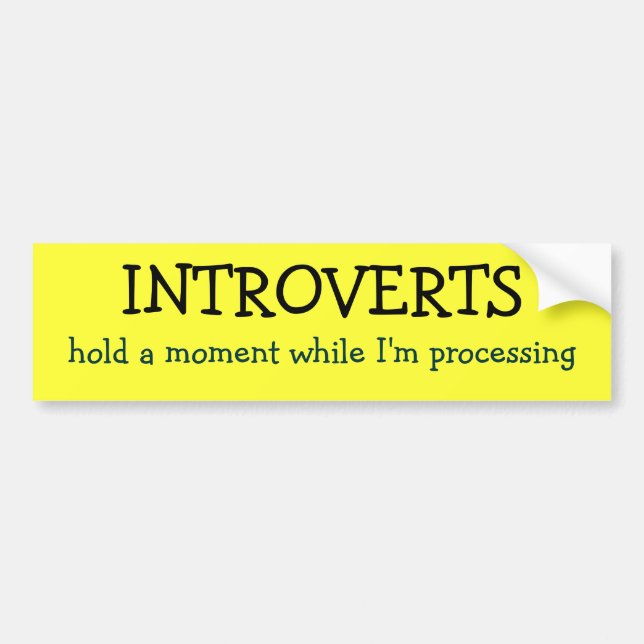 Autocollant De Voiture INTROVERTS, tiennent un moment tandis que je (Devant)