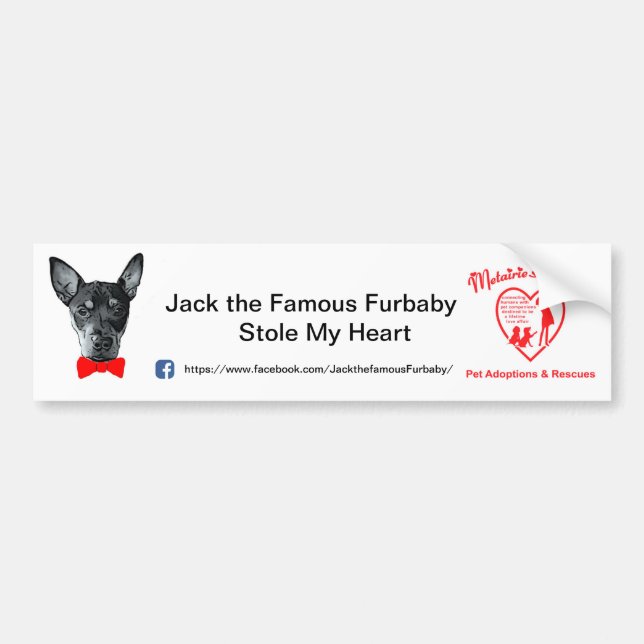 Autocollant De Voiture Jack le Furbaby célèbre Bumpersticker (Devant)