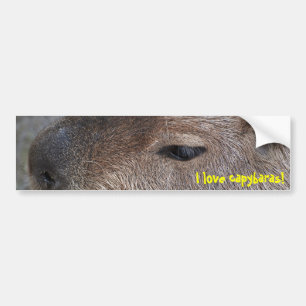 Autocollant De Voiture J'adore les capybaras