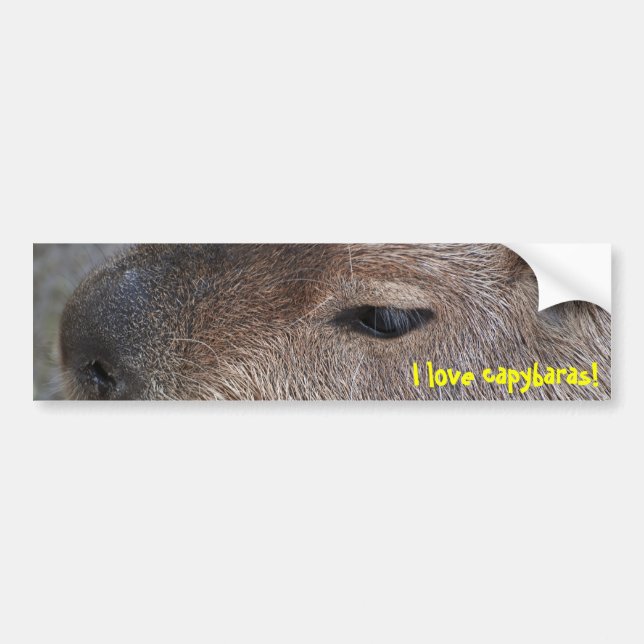 Autocollant De Voiture J'adore les capybaras (Devant)