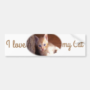 Autocollant De Voiture J'adore mon Sticker Cat Bumper