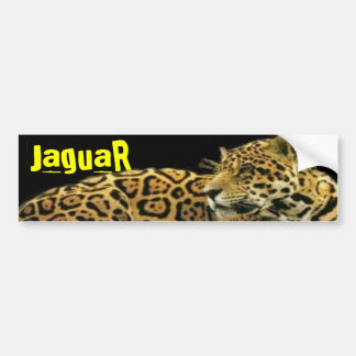 Autocollant De Voiture Jagua