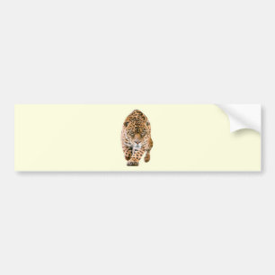 Autocollant De Voiture Jaguar Eyes