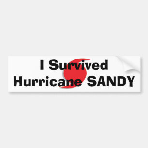 Autocollant De Voiture J'ai survécu au bumpersticker de SANDY d'ouragan