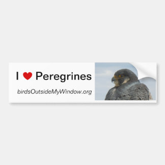 Autocollant De Voiture J'aime des Peregrines Pittsburgh