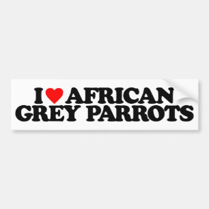 AUTOCOLLANT DE VOITURE J'AIME DES PERROQUETS DE GRIS AFRICAIN
