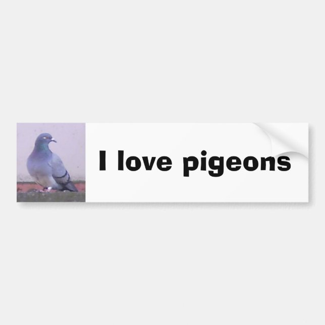 Autocollant De Voiture J'aime des pigeons (Devant)