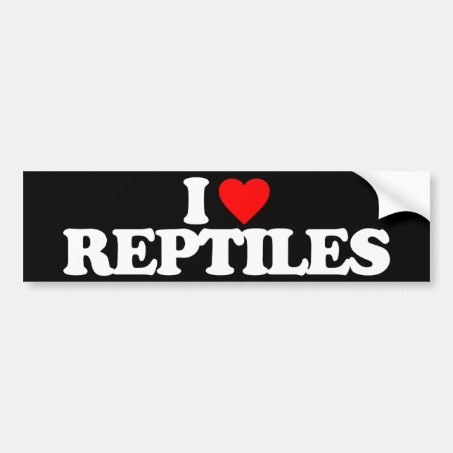 AUTOCOLLANT DE VOITURE J'AIME DES REPTILES (Devant)