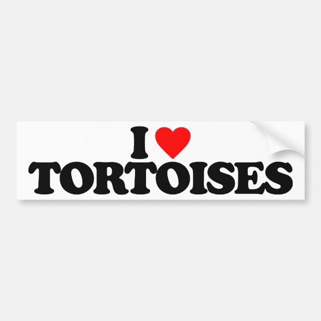 AUTOCOLLANT DE VOITURE J'AIME DES TORTUES (Devant)