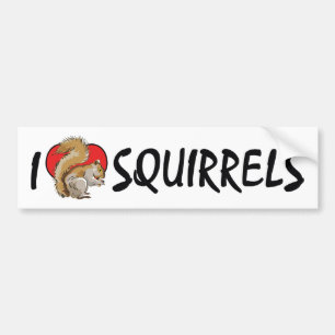 Autocollant De Voiture J'aime Écureuils du coeur - Amateur d'écureuil