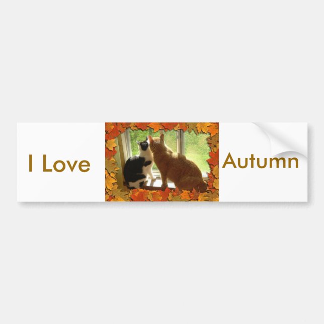 Autocollant De Voiture J'aime l'automne (Devant)