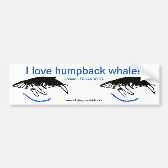 Autocollant De Voiture J'aime les baleines à bosse - Animaux en voie de d (Devant)