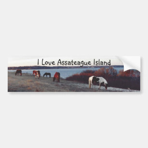 Autocollant De Voiture J'aime l'île d'Assateague - adhésif pour