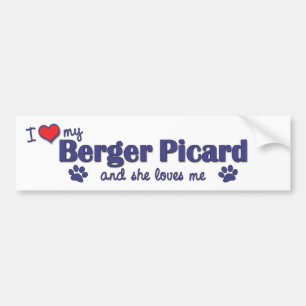 Autocollant De Voiture J'aime mon Berger Picard (le chien femelle)