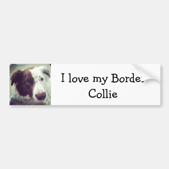 Autocollant De Voiture J'aime mon border collie (Devant)
