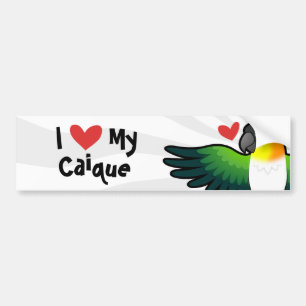Autocollant De Voiture J'aime mon Caïque / Inséparable / Pionus / Perroqu