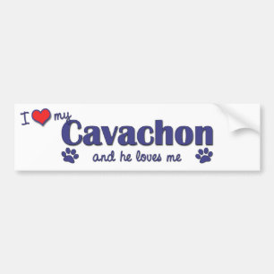 Autocollant De Voiture J'aime mon Cavachon (le chien masculin)