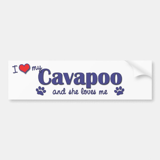 Autocollant De Voiture J'aime mon Cavapoo (le chien femelle) (Devant)