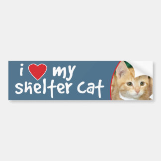Autocollant De Voiture J'aime mon chaton d'orange de chat d'abri