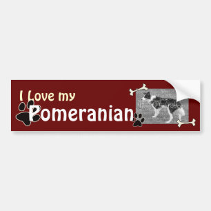 Autocollant De Voiture J'aime mon chevalet pare-chocs de Poméranie